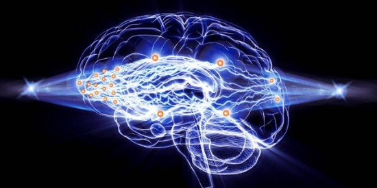 光腦神經(jīng)元網(wǎng)絡(luò)層級(jí)連接示意圖