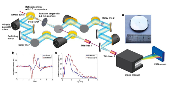 太赫茲光開關(guān)非侵入式醫(yī)療檢測(cè)示意圖