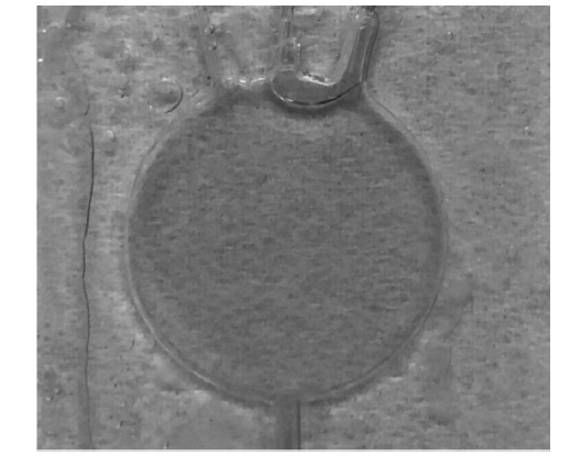 微流控光開關(guān)在實際應(yīng)用中的效果，包括不同流速下的遮光形態(tài)及透光/遮光對比  - 廣西科毅光通信